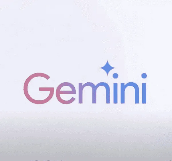 Gemini pro 一年